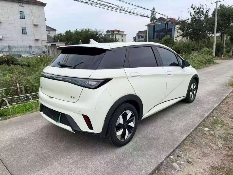 嘉兴24年比亚迪海豚8