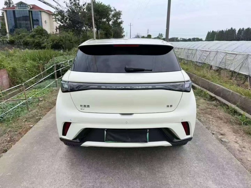 嘉兴24年比亚迪海豚9