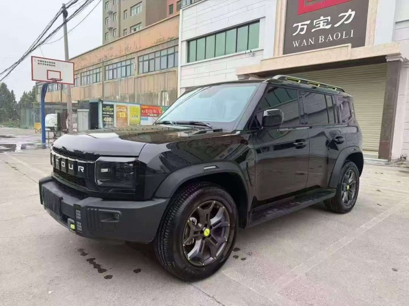 株洲24年奇瑞捷途2