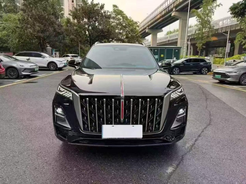 株洲25年红旗HS51