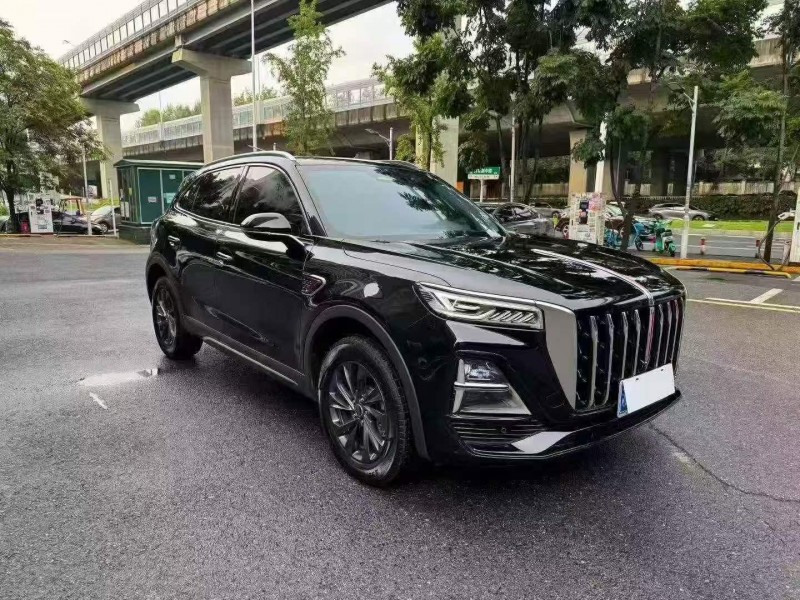 株洲25年红旗HS52