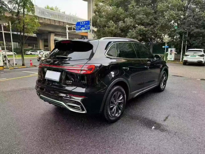 株洲25年红旗HS59