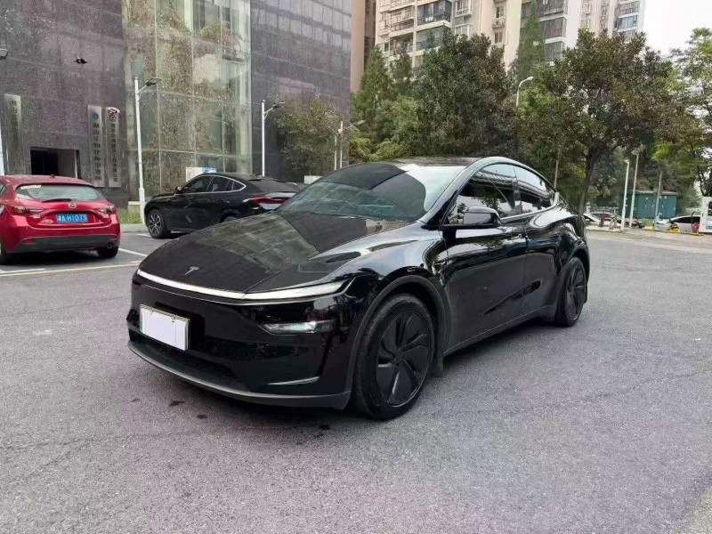 邵阳25年特斯拉MODEL Y3