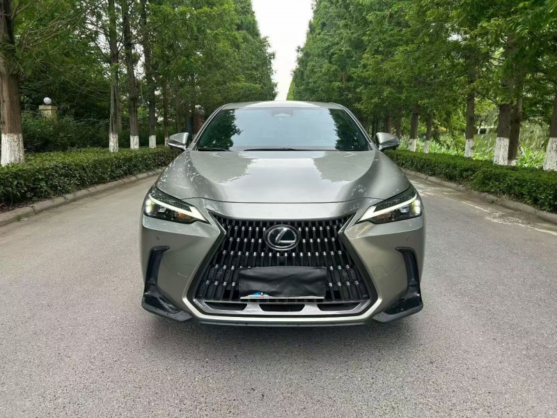 徐州22年雷克萨斯NX1