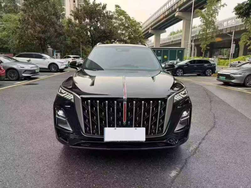 常德25年红旗HS51