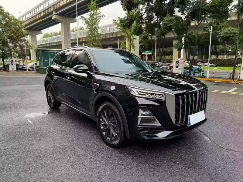 常德25年红旗HS53