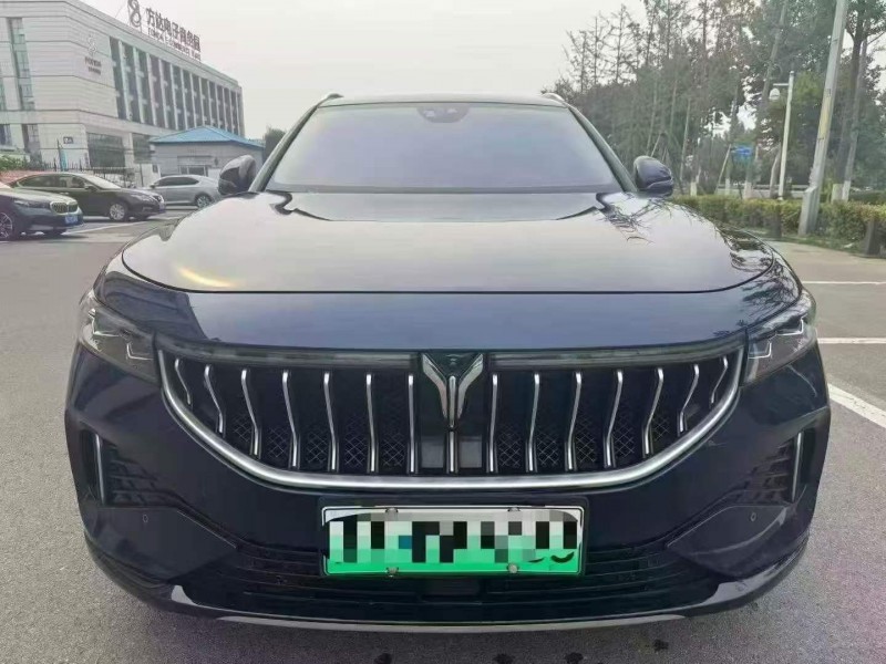 株洲22年岚图汽车FREE1