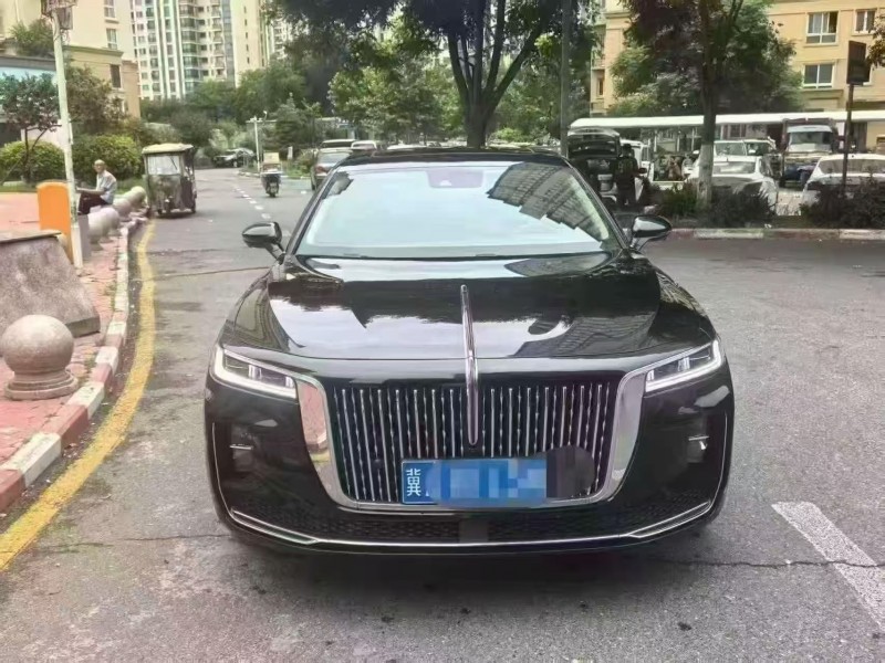 安阳21年红旗H91