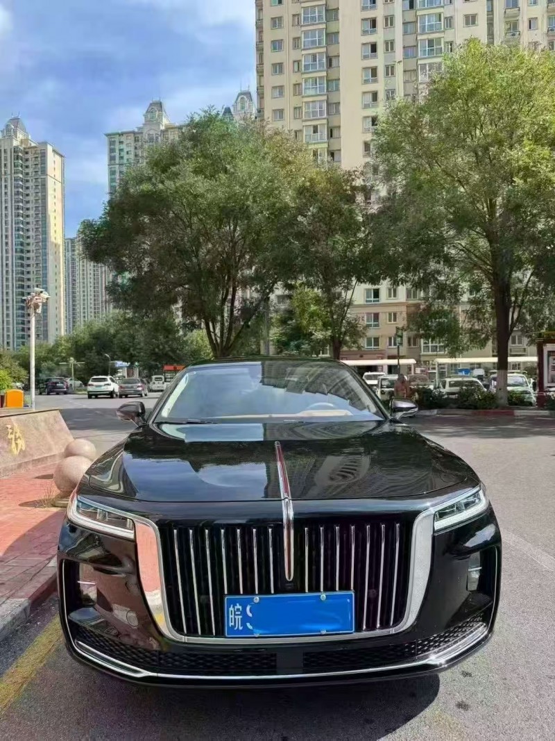 安阳22年红旗H91