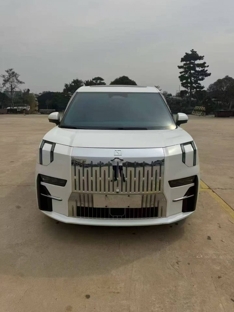 淄博23年极氪汽车0091
