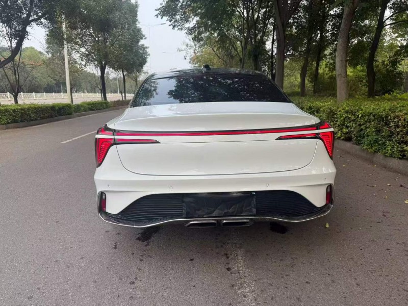 娄底24年红旗H69