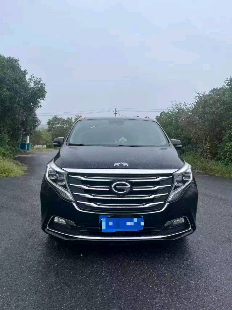鹤壁19年传祺M8/GM81