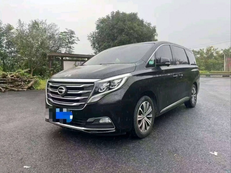 鹤壁19年传祺M8/GM82