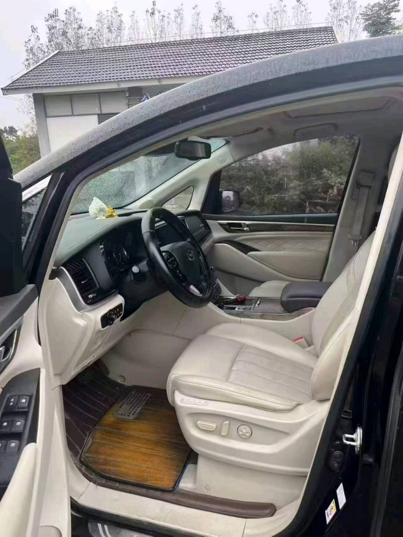 鹤壁19年传祺M8/GM84