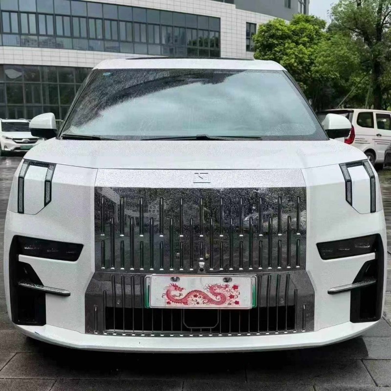 佛山23年极氪汽车0091