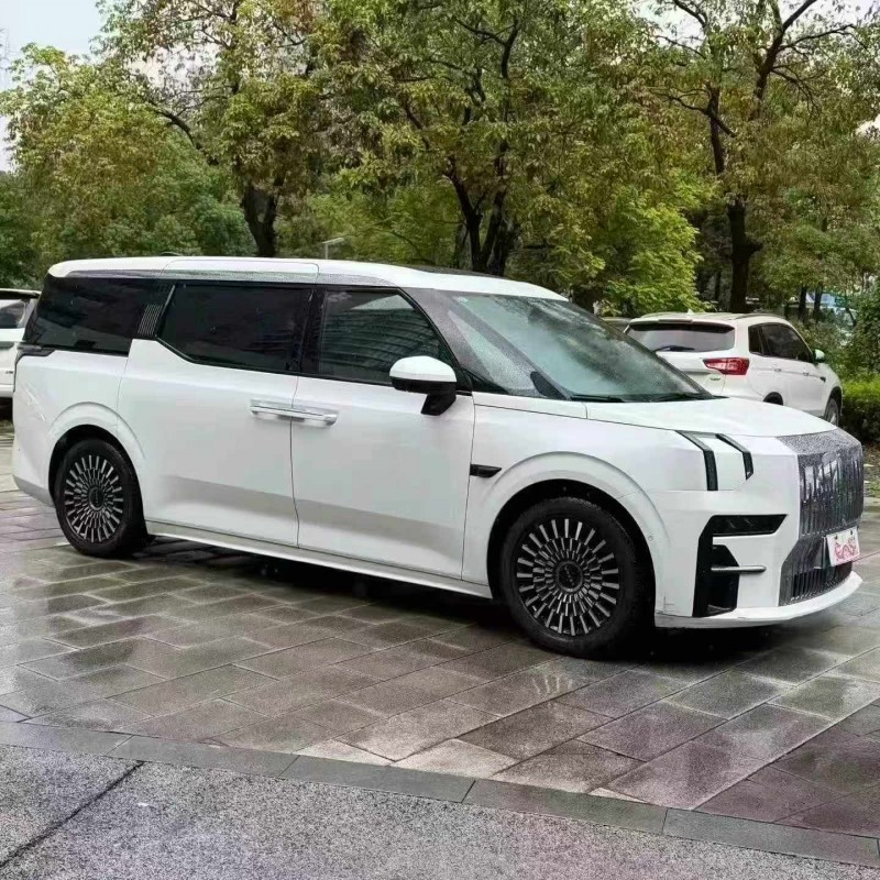佛山23年极氪汽车0092