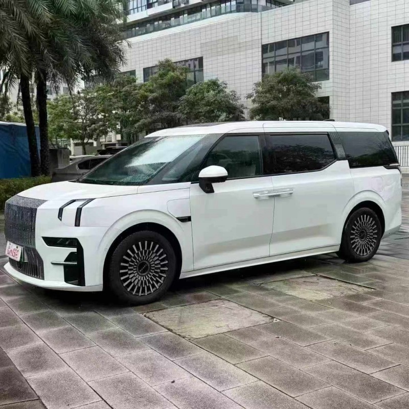 佛山23年极氪汽车0093