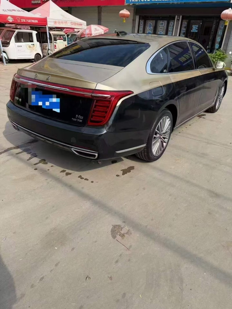 淮南22年红旗H95