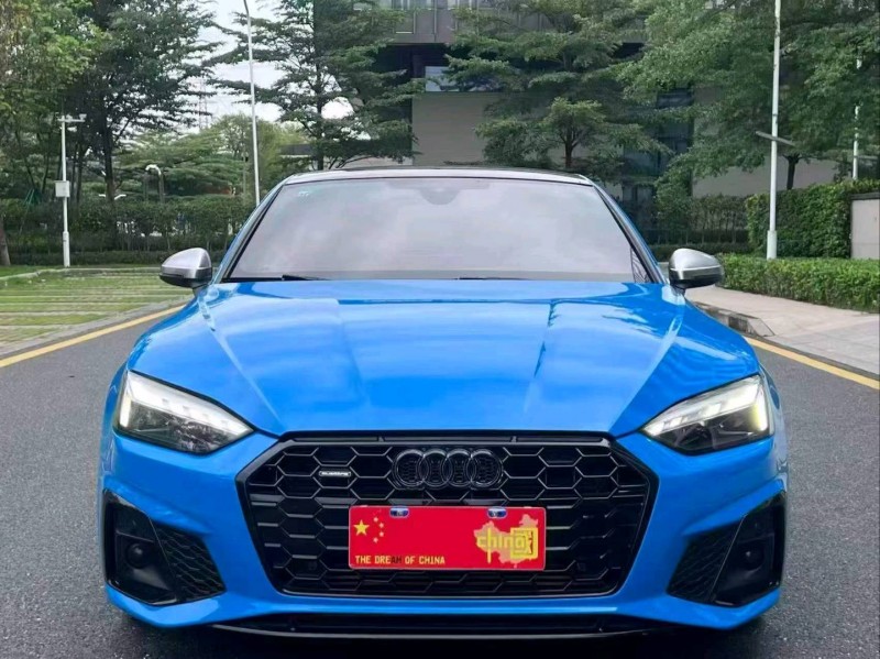 广州22年奥迪S51