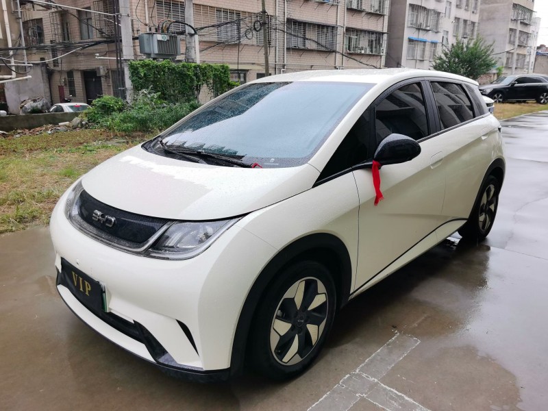 襄阳24年比亚迪海豚3