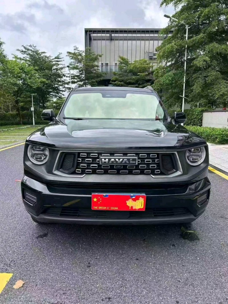 广州24年哈弗大狗1