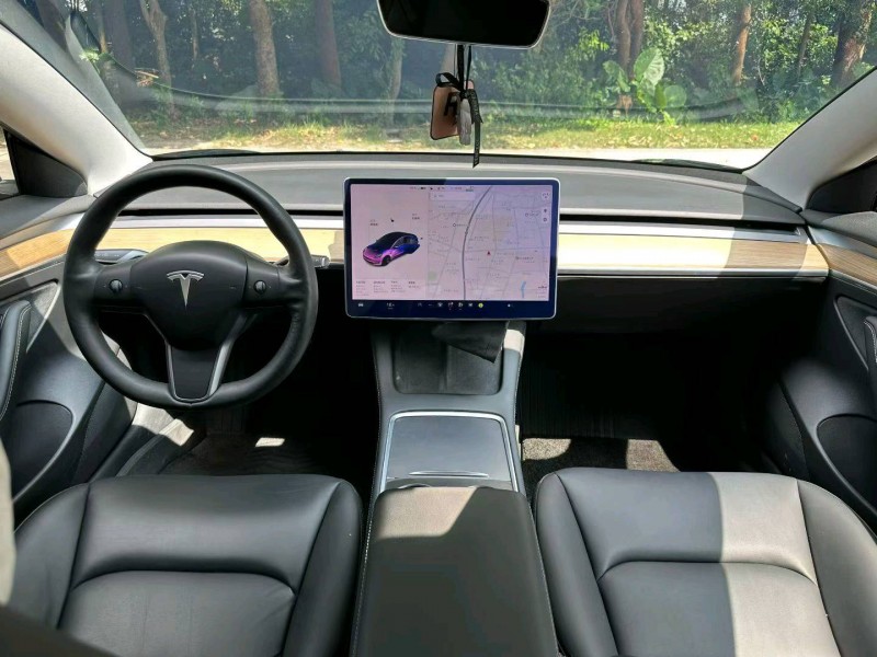 广州21年特斯拉MODEL 35