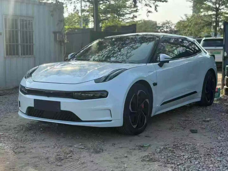 广州23年极氪汽车0013
