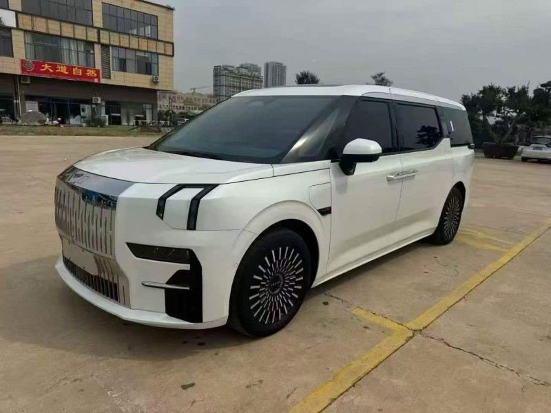 潍坊23年极氪汽车0092