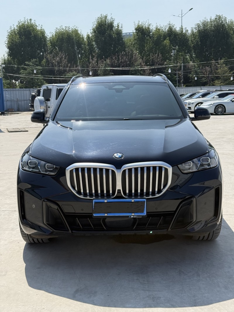 新乡24年宝马X51