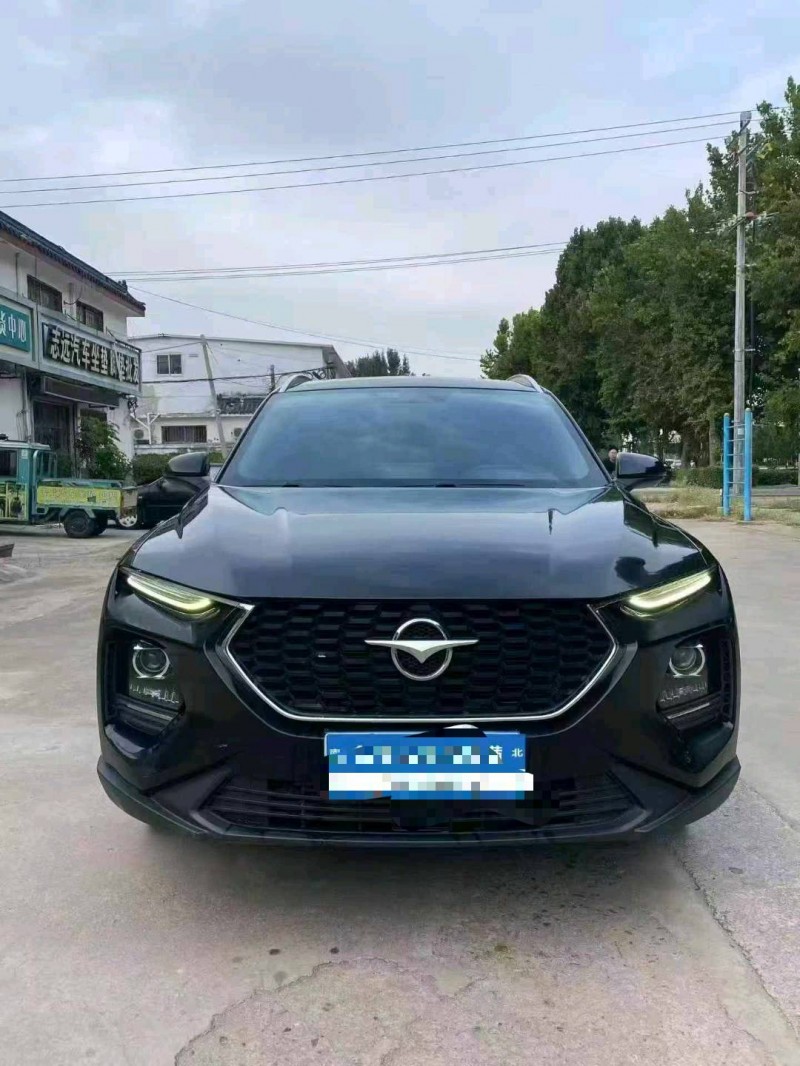 淄博20年海马S81