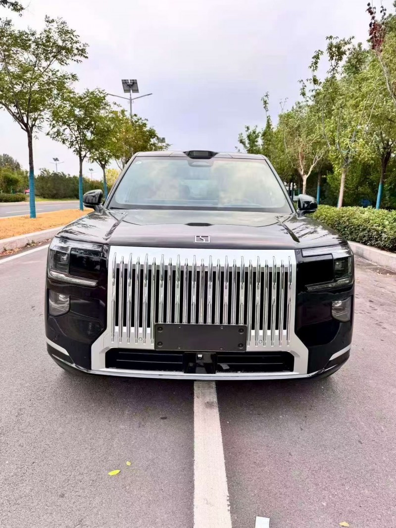 枣庄26年极氪汽车9X1