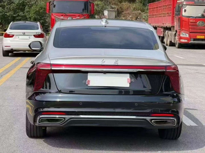 衡阳24年红旗H56