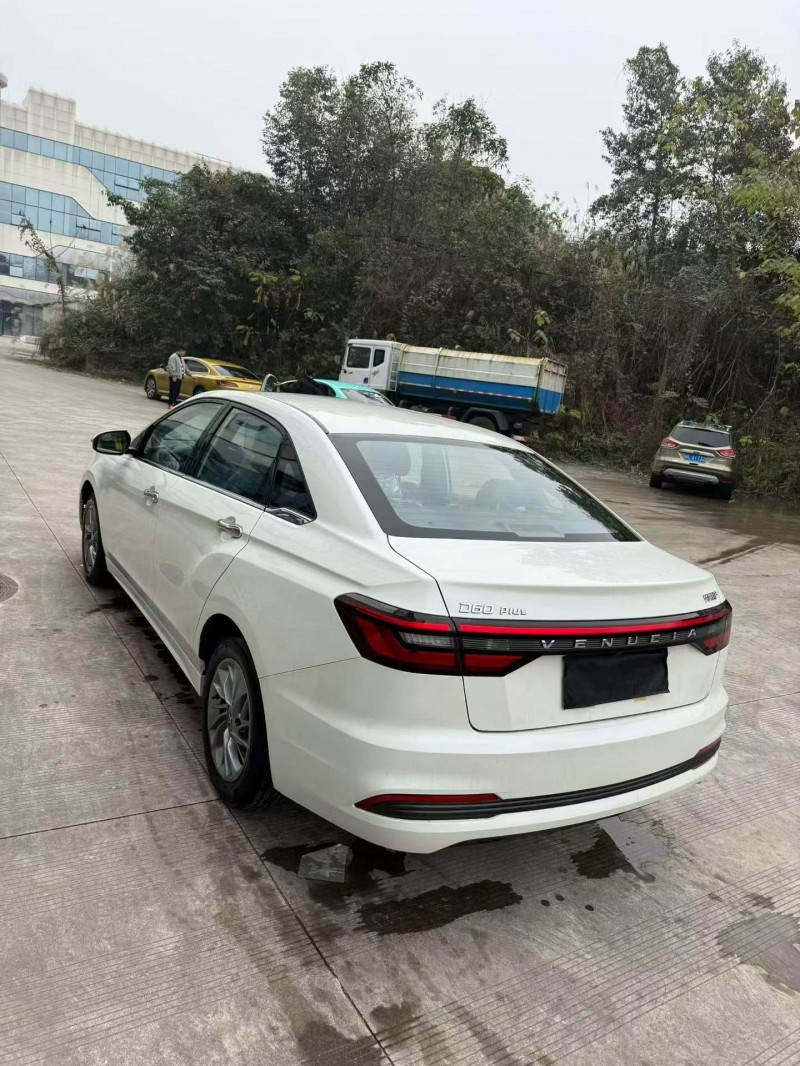 乐山24年启辰D605