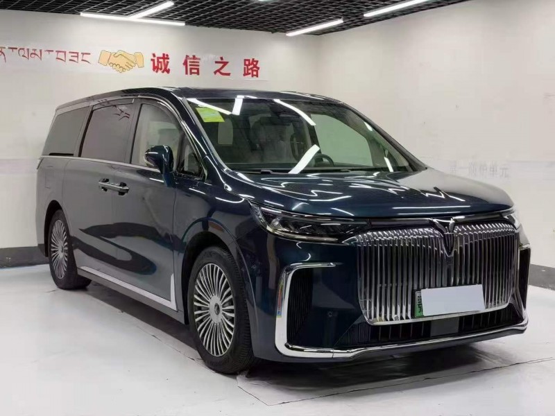 孝感25年岚图汽车梦想家7