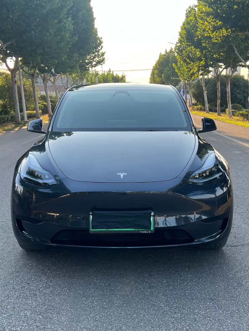 徐州24年特斯拉MODEL Y1
