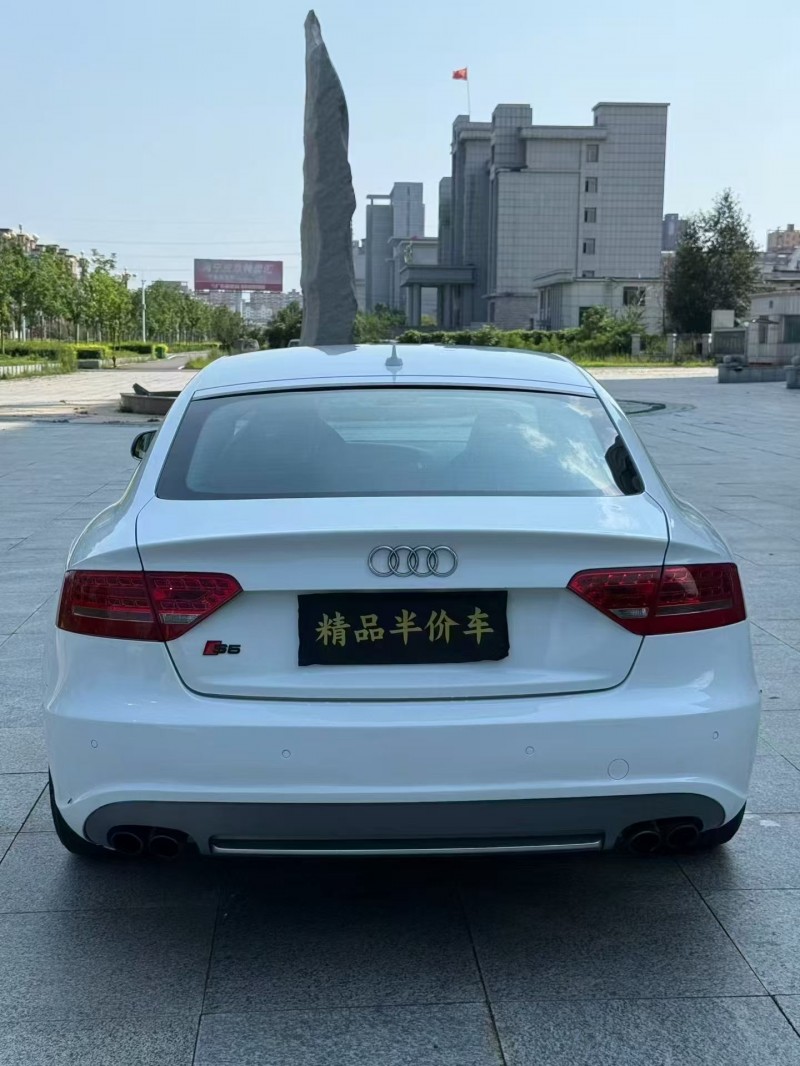 吉林12年奥迪S54