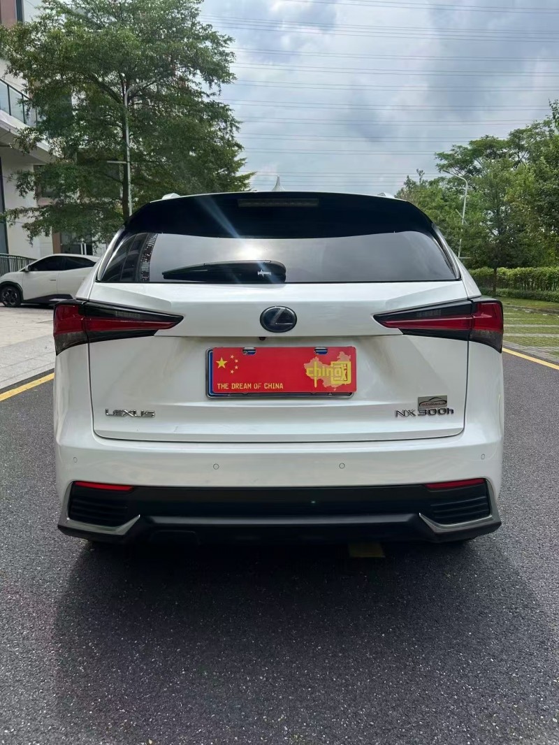 深圳19年雷克萨斯NX9