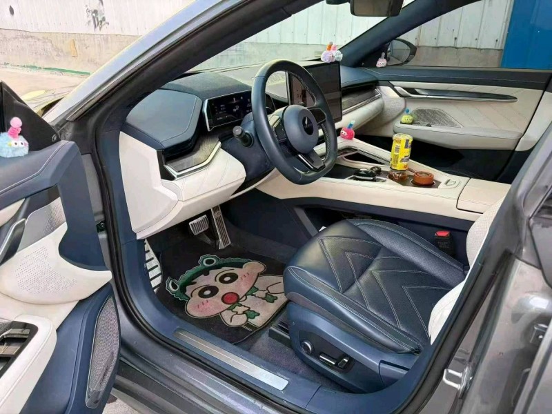 新乡24年极氪汽车0017