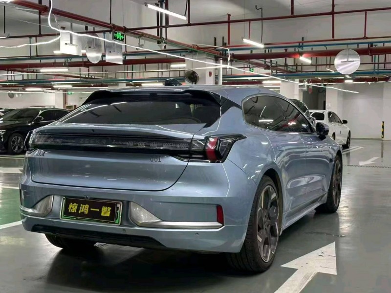 广州23年极氪汽车0019