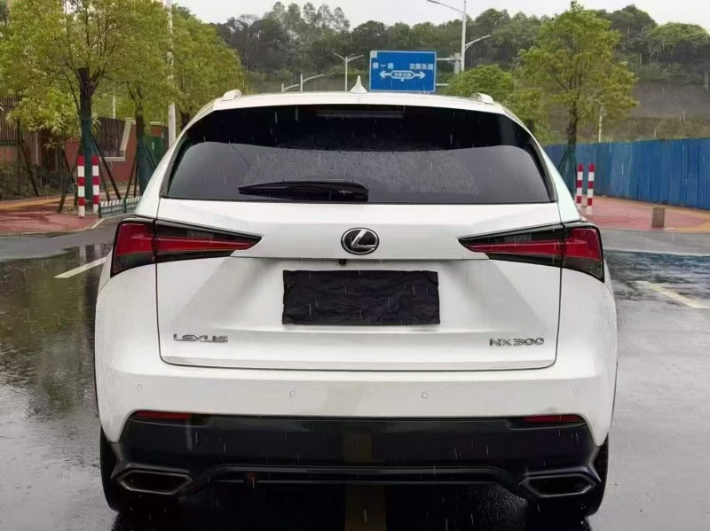 广州18年雷克萨斯NX9