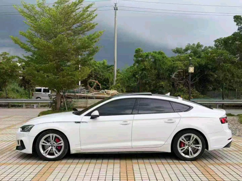 中山20年奥迪A52