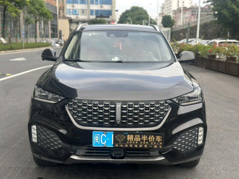 东莞19年长城汽车魏牌1