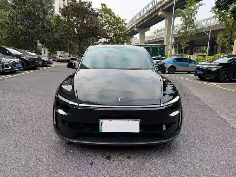 株洲25年特斯拉MODEL Y1