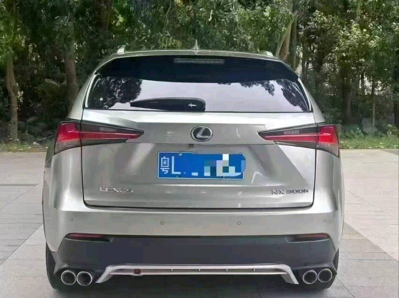 广州19年雷克萨斯NX7