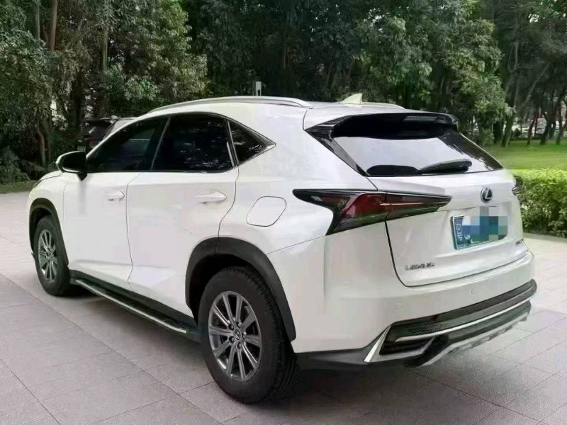 广州19年雷克萨斯NX9