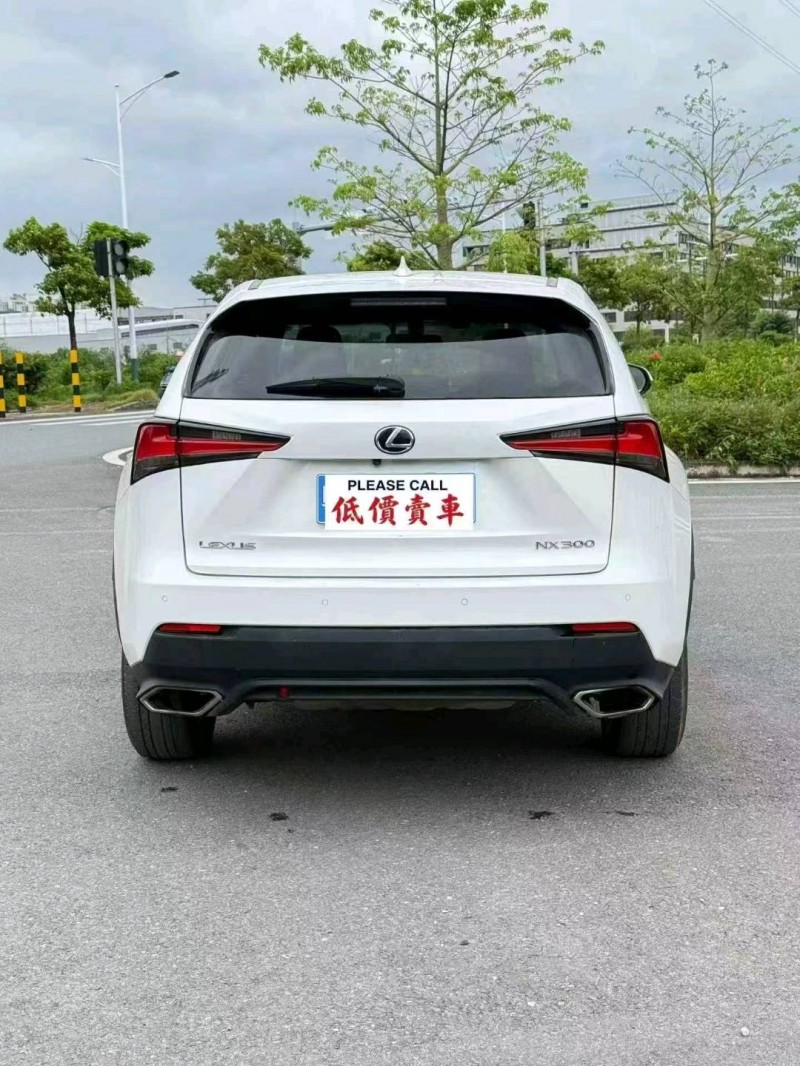 广州18年雷克萨斯NX9