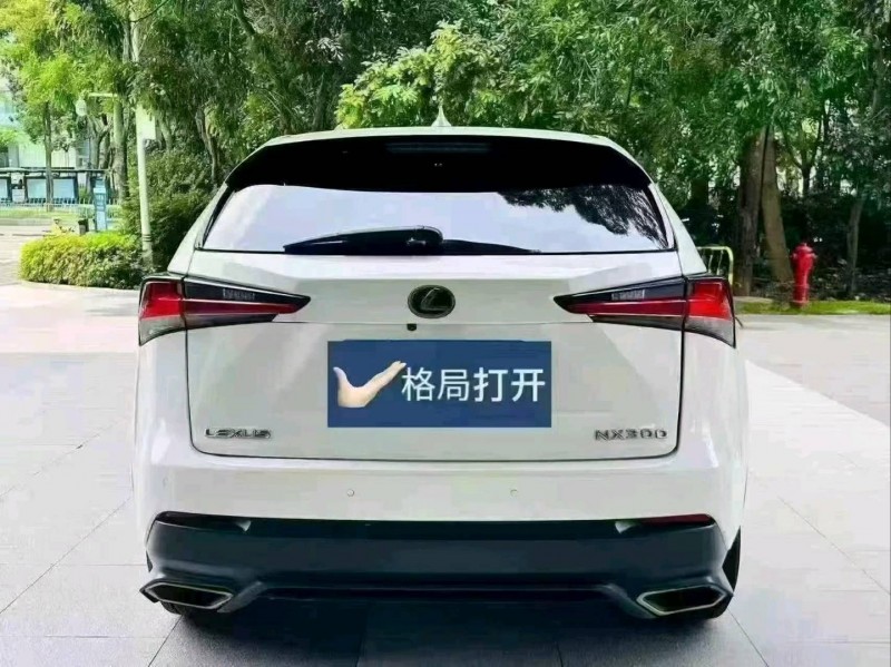 汕头18年雷克萨斯NX8