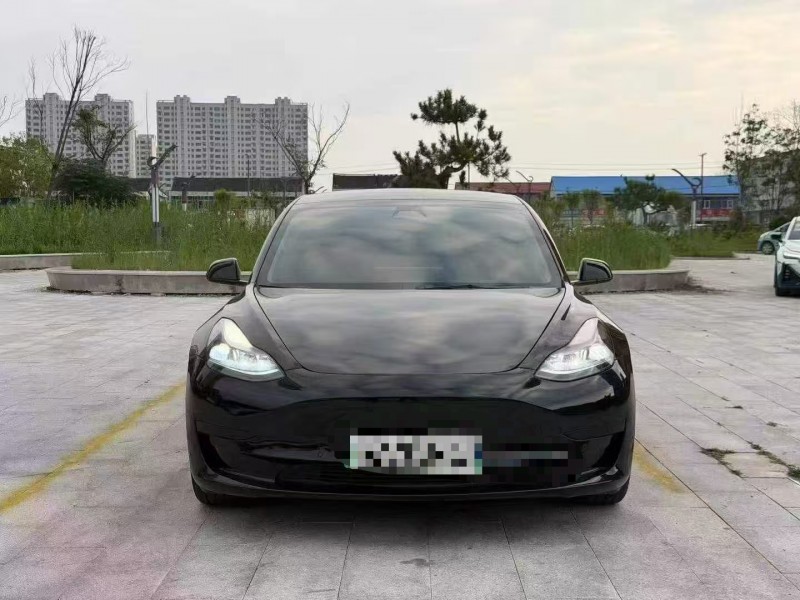 菏泽21年特斯拉MODEL 31