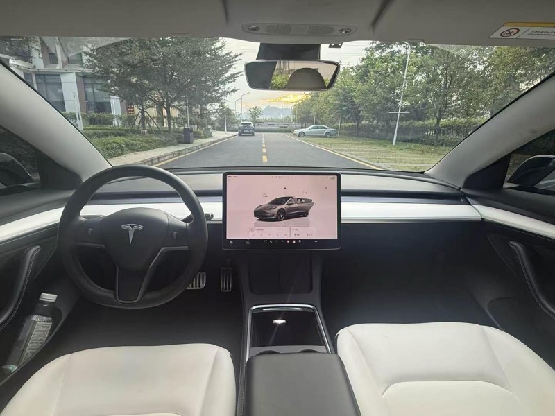 广州23年特斯拉MODEL 34