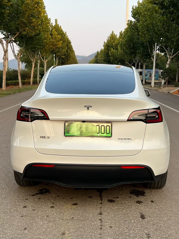 徐州24年特斯拉MODEL Y9